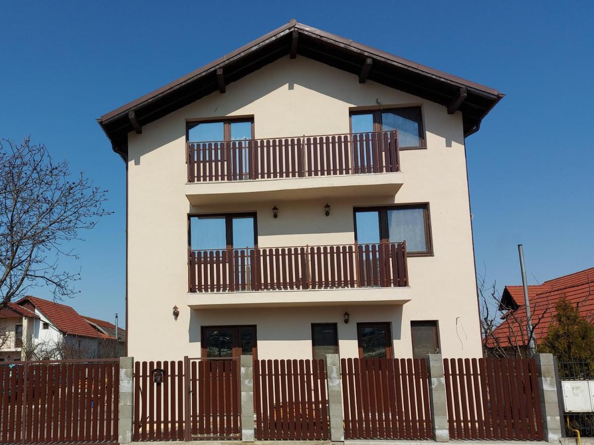 Pensiunea Albina Sinnicoara Exterior photo