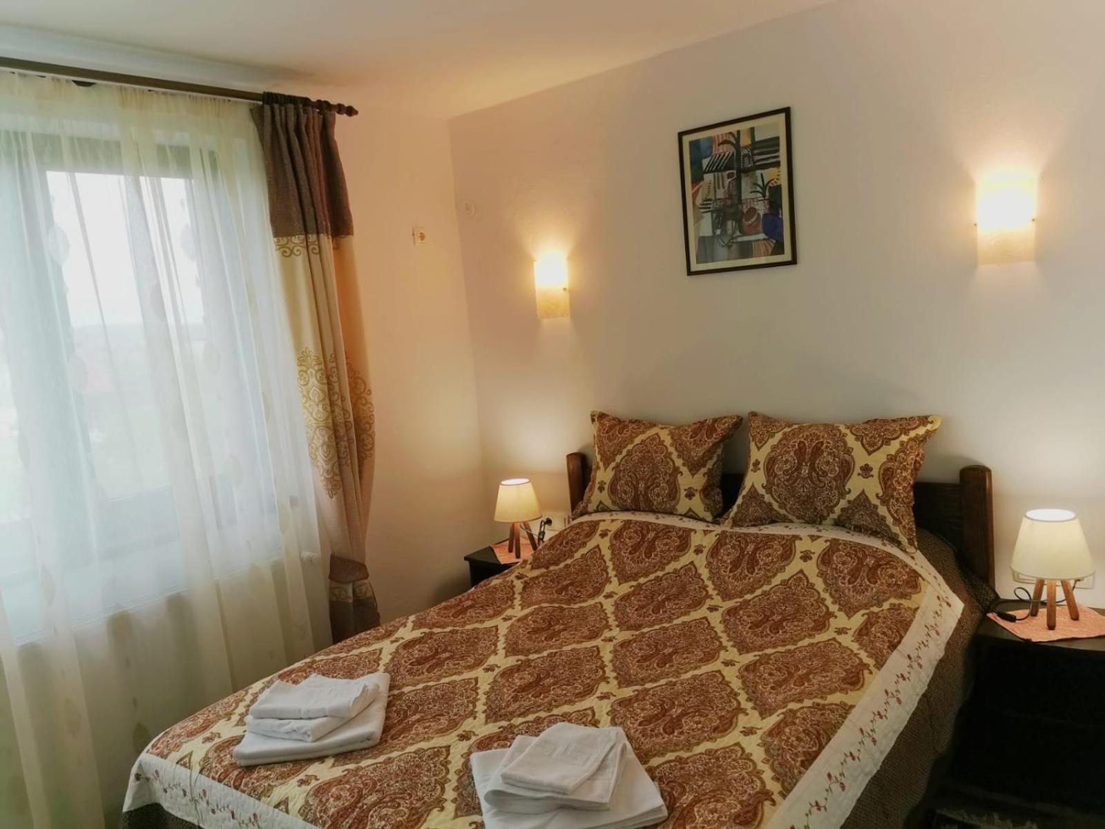 Pensiunea Albina Sinnicoara Room photo